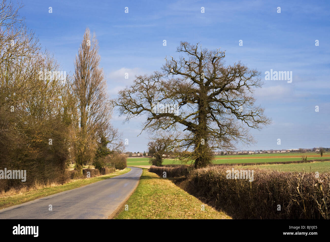 Landstraße in der Nähe von Helpston, Nord Cambridgeshire. Die Landschaft hier ist nach dem Dichter John Clare Clare Country genannt. Stockfoto