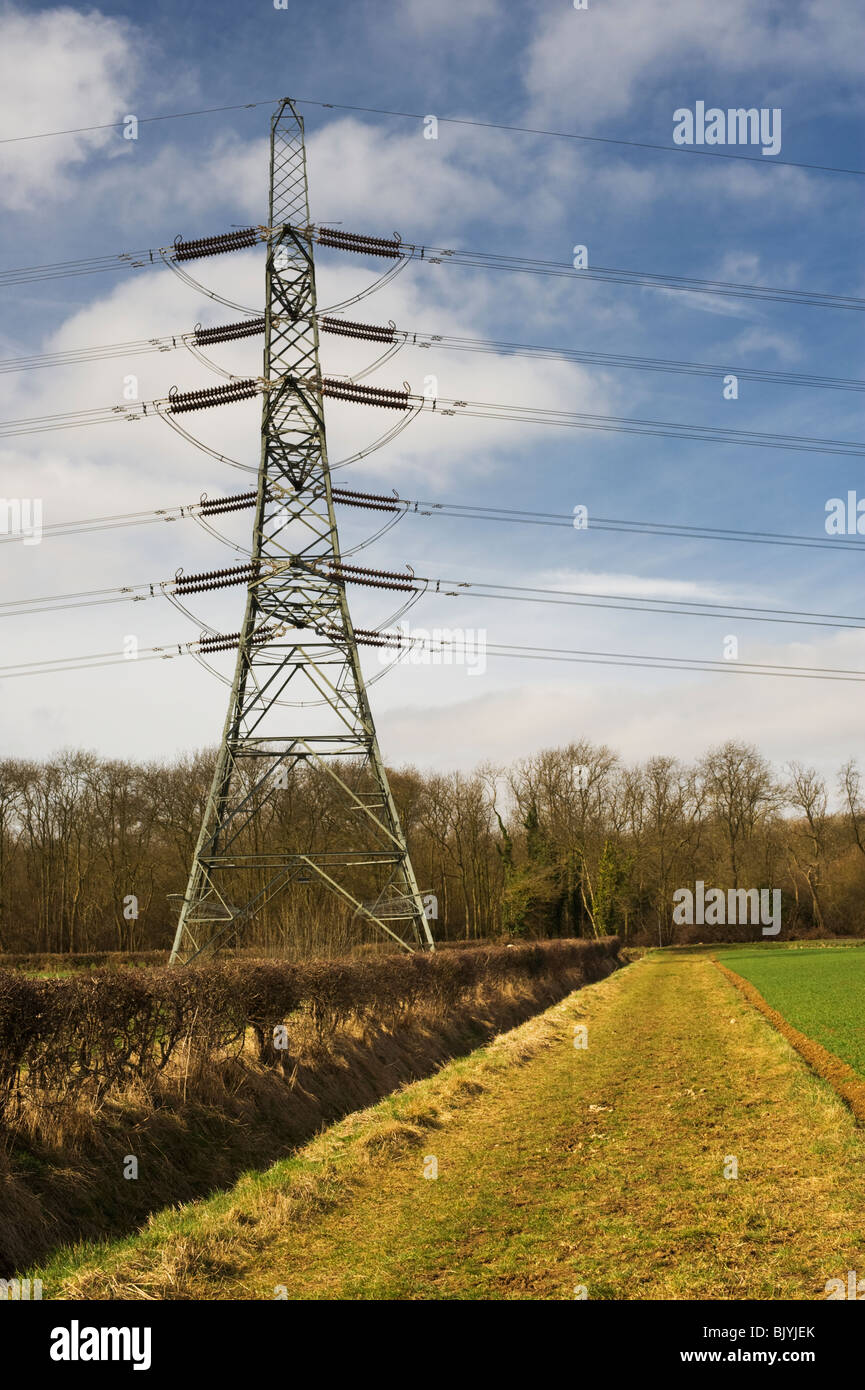 Strom-Pylon und Stromleitungen in der Nähe von Helpston, Cambridgeshire Stockfoto