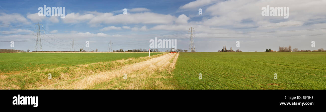Panorama-Landschaft in der Nähe von Helpston, Cambridgeshire. Die Landschaft hier ist nach dem Dichter John Clare Clare Country genannt. Stockfoto