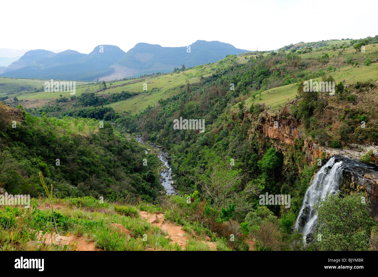 Lisbon Falls in der Nähe von Graskop in Provinz Mpumalanga, Südafrika Stockfoto