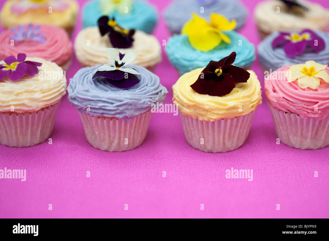 Bunte Cupcakes und essbare Frühlingsblumen Stockfoto
