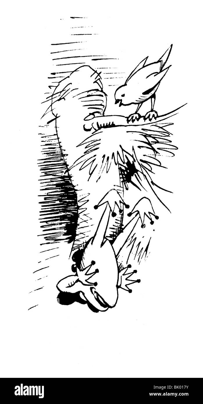 Literatur, Wilhelm Busch 1832 - 1908, "Der fliegende Frosch III", "Artist Copyright wurde nicht gelöscht Stockfoto