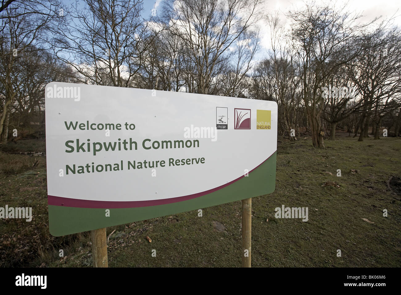 Skipworth gemeinsamen nationalen Naturreservat Yorkshire UK Stockfoto
