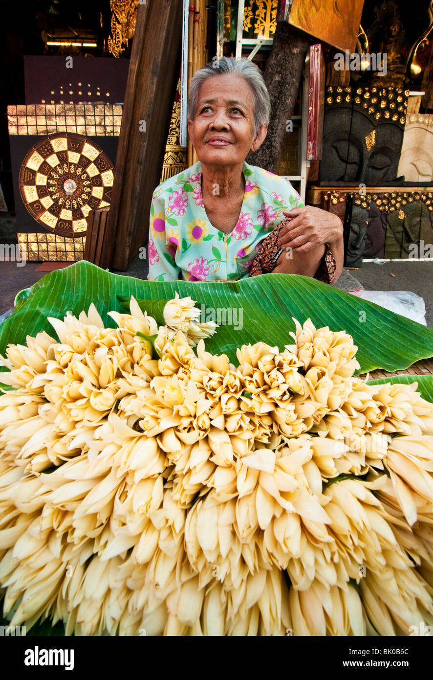 Frau verkaufen Blumen in Chatuchak Weekend Market in Bangkok, Thailand. Stockfoto