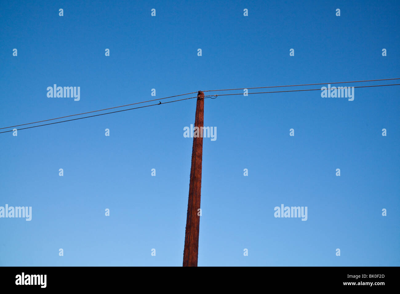 Elektrizität Mast und Kabel, Hampshire, England Stockfoto