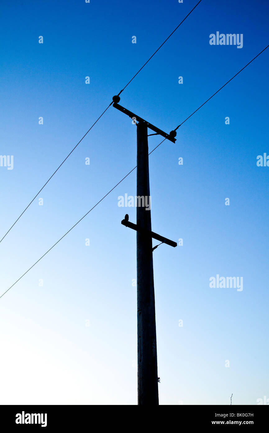 Elektrizität Mast und Kabel, Hampshire, England Stockfoto