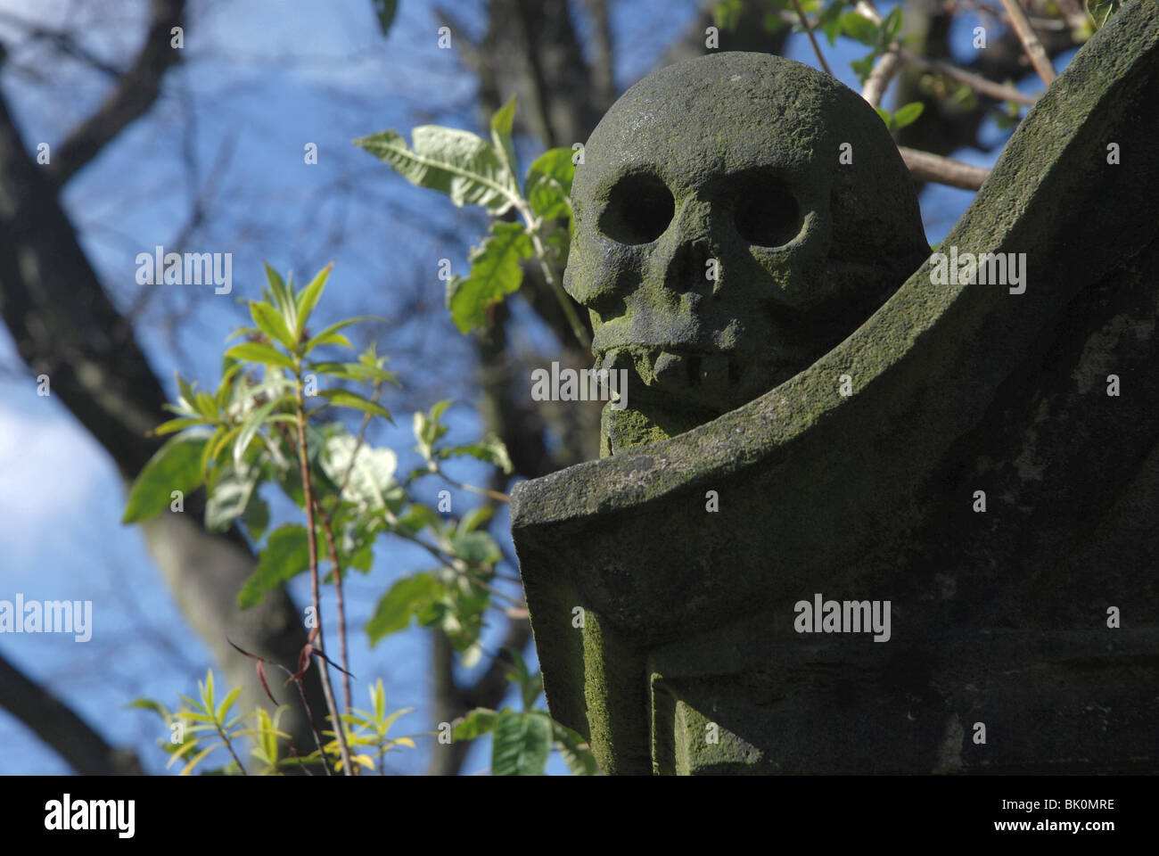 Schädel, Teil von einem Grabstein im alten Calton Burial Ground, Edinburgh, Schottland Stockfoto