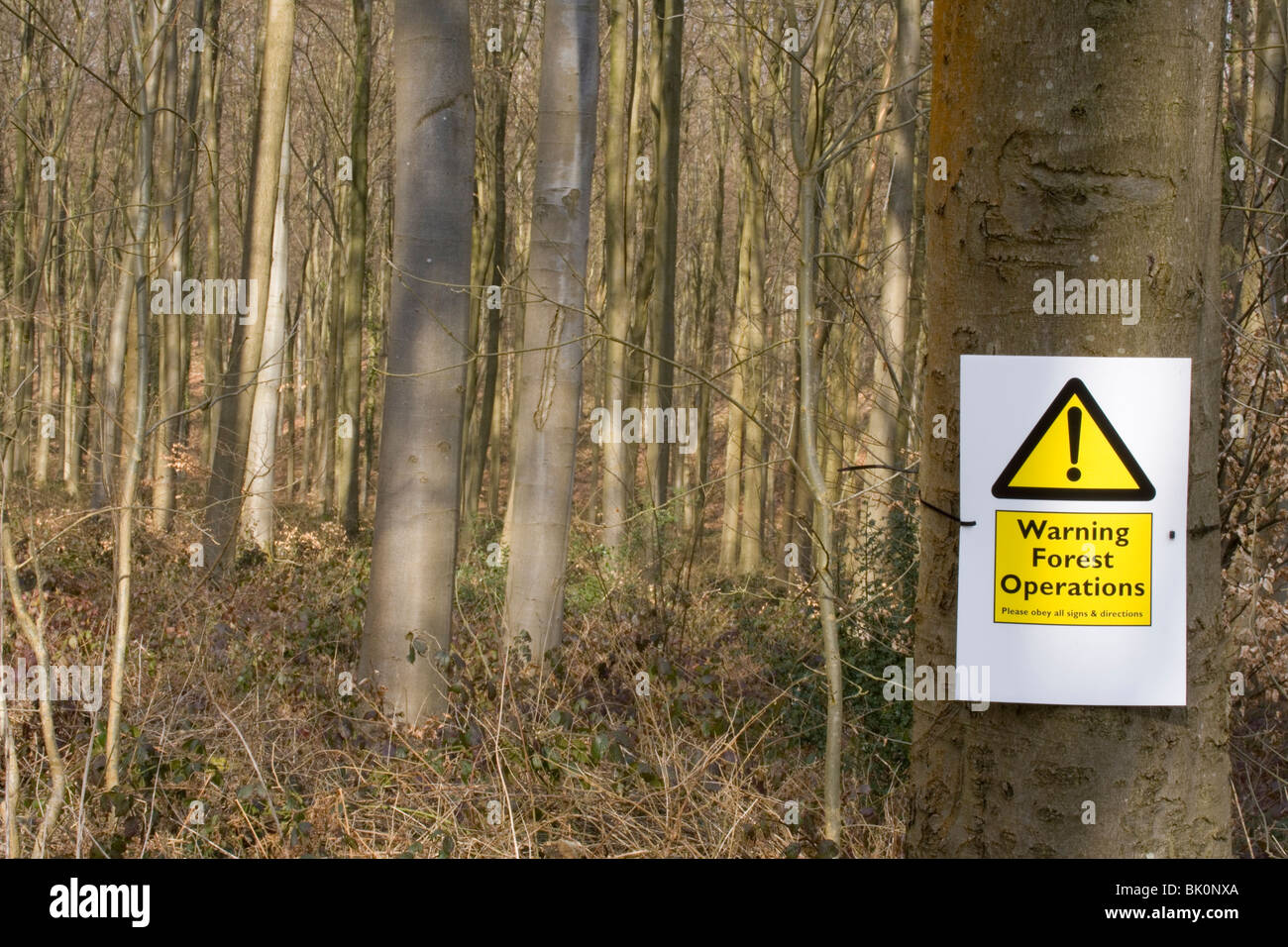 Forest Management Warnung Forest Operationen Zeichen UK Stockfoto