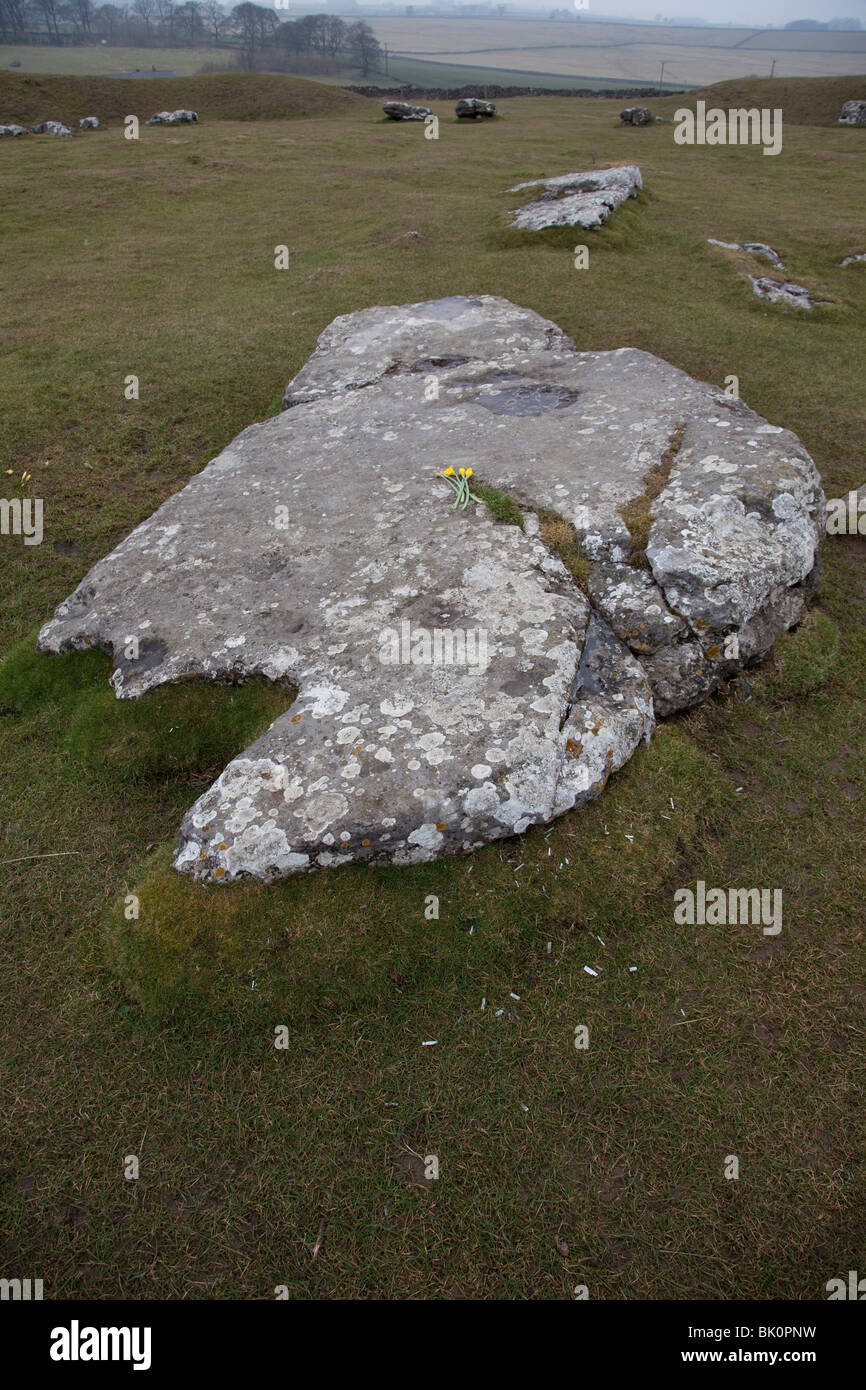 Arbor Low ist ein neolithischen Henge-Monument in der weißen Spitze, Teil des Derbyshire Peak District Stockfoto