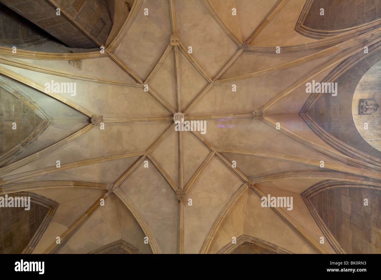 gewölbte Dach von Pulver Turm, Platz der Republik, Prag, Tschechische Republik Stockfoto