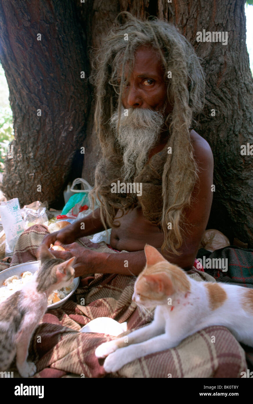 Alter Mann mit verknoteten Haare, Fütterung von zwei Katzen, Bombay, Indien. Stockfoto