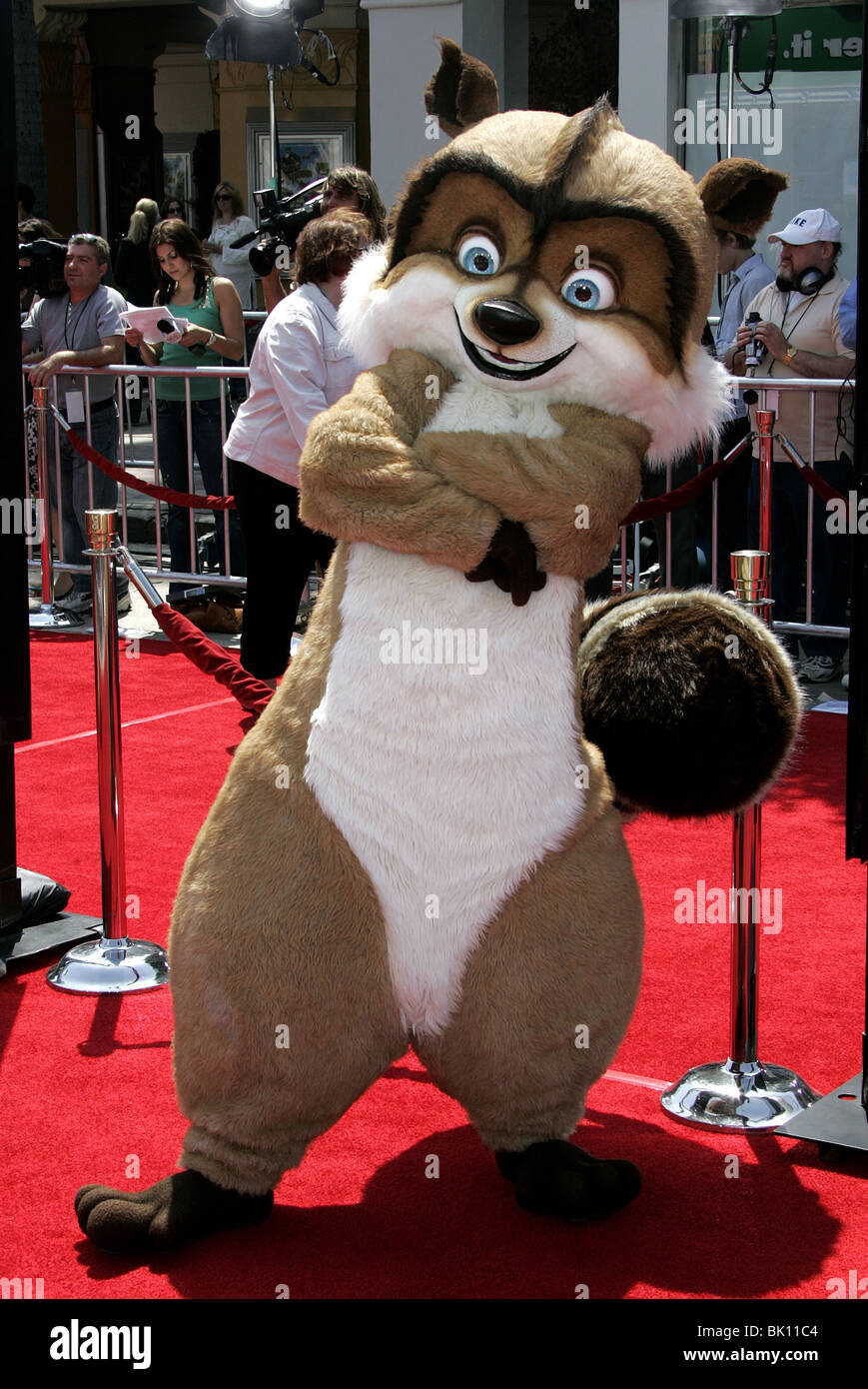 RJ Waschbär ab durch die Hecke WESTWOOD LOS ANGELES USA PREMIERE 30. April 2006 Stockfoto