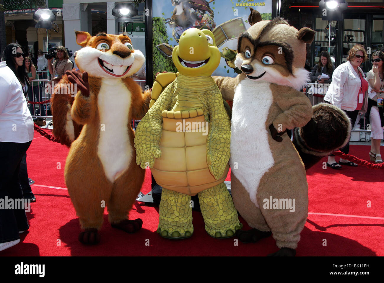 HAMMY DAS EICHHÖRNCHEN VERNE SCHILDKRÖTE & RJ WASCHBÄR AB DURCH DIE HECKE. PREMIERE WESTWOOD LOS