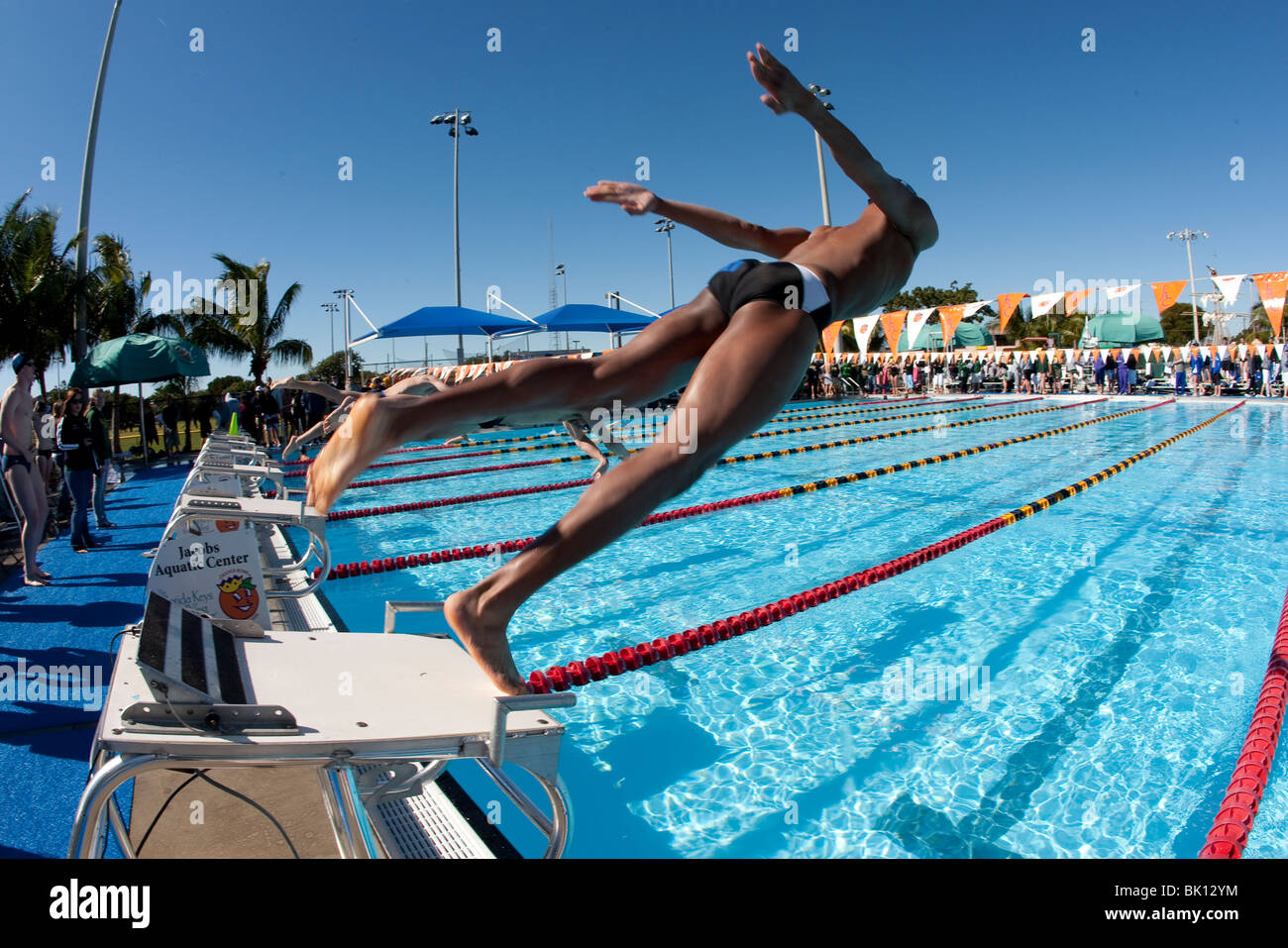 Männliche Schwimmer konkurrieren in der Orange Bowl klassischen schwimmen gerecht zu werden, 2010, Jacobs Aquatic Center, Key Largo, Florida Stockfoto