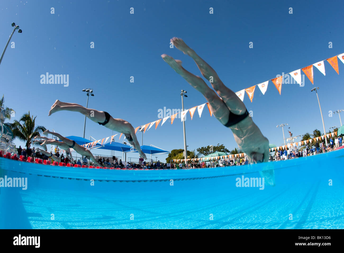 Männliche Schwimmer konkurrieren in der Orange Bowl klassischen schwimmen gerecht zu werden, 2010, Jacobs Aquatic Center, Key Largo, Florida Stockfoto