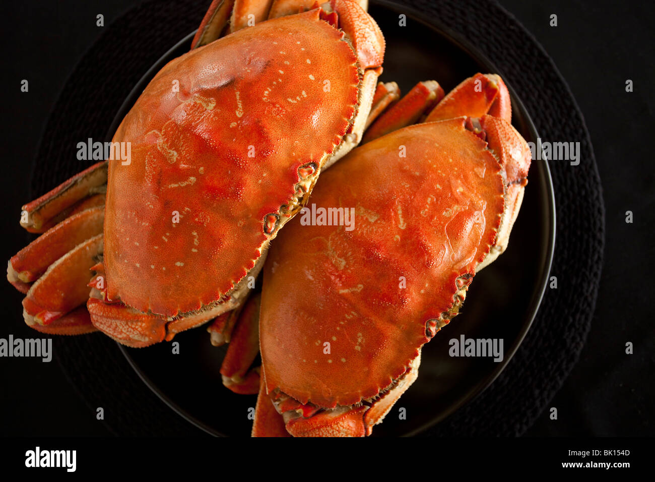 Zwei gekochte Dungeness-Krabben Stockfoto
