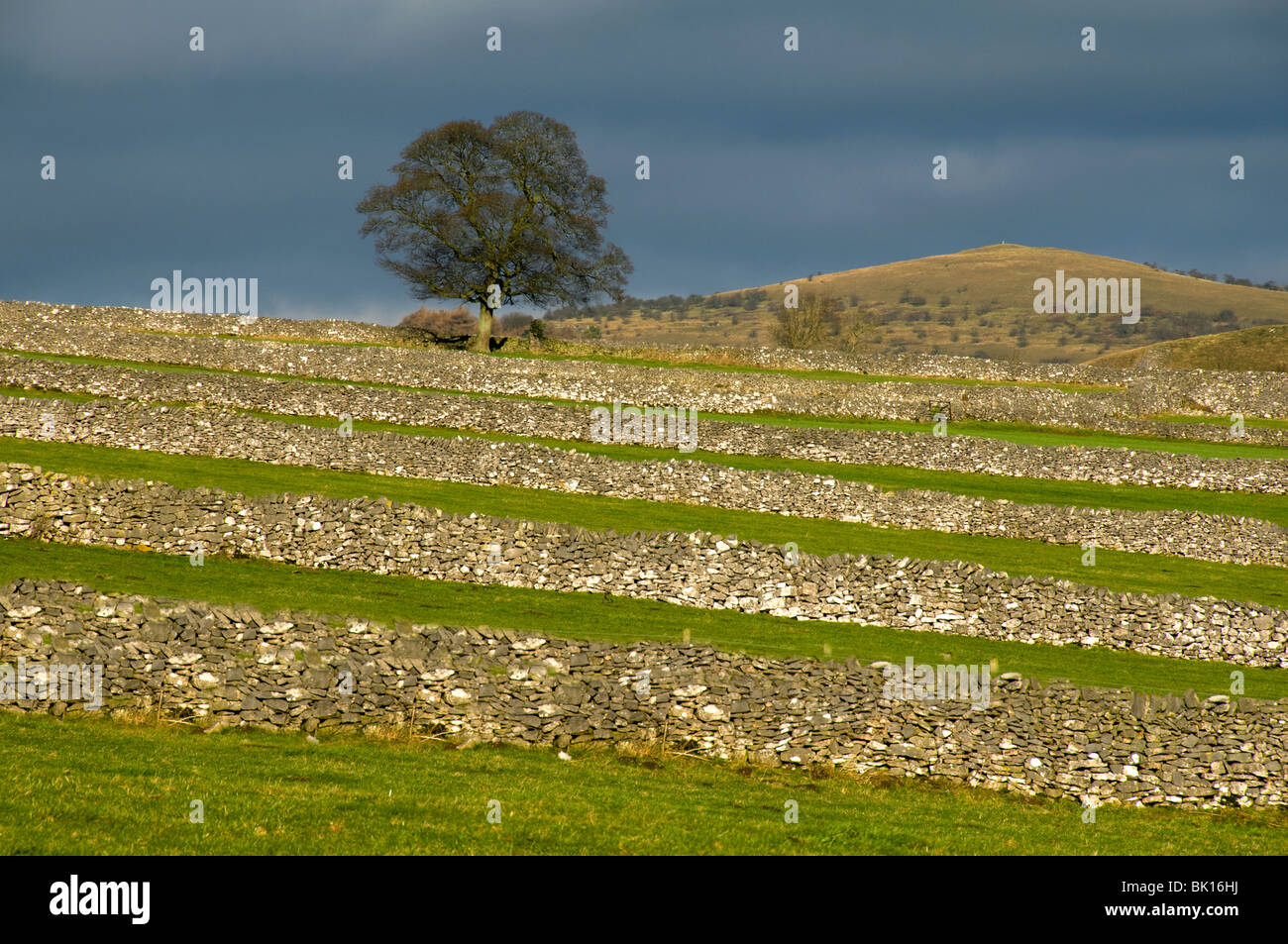 Trockenmauern Wände im Peak District, Derbyshire, England, UK Stockfoto