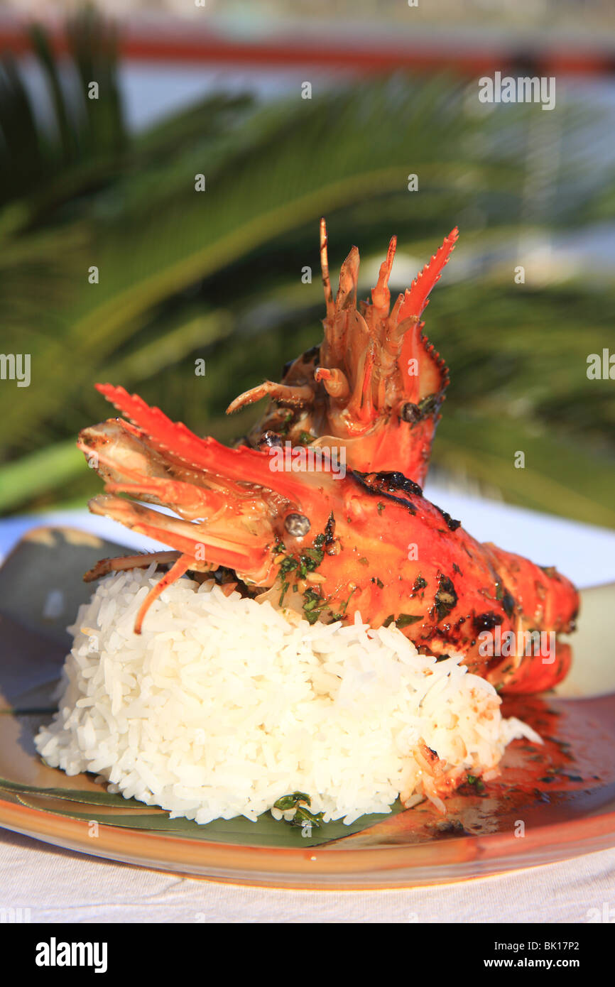 Gebratene asiatische Fluss Hummer Stockfoto