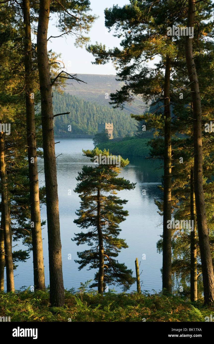 Derwent Reservoir, Upper Derwent Valley, Peak District, Derbyshire, England, UK Stockfoto