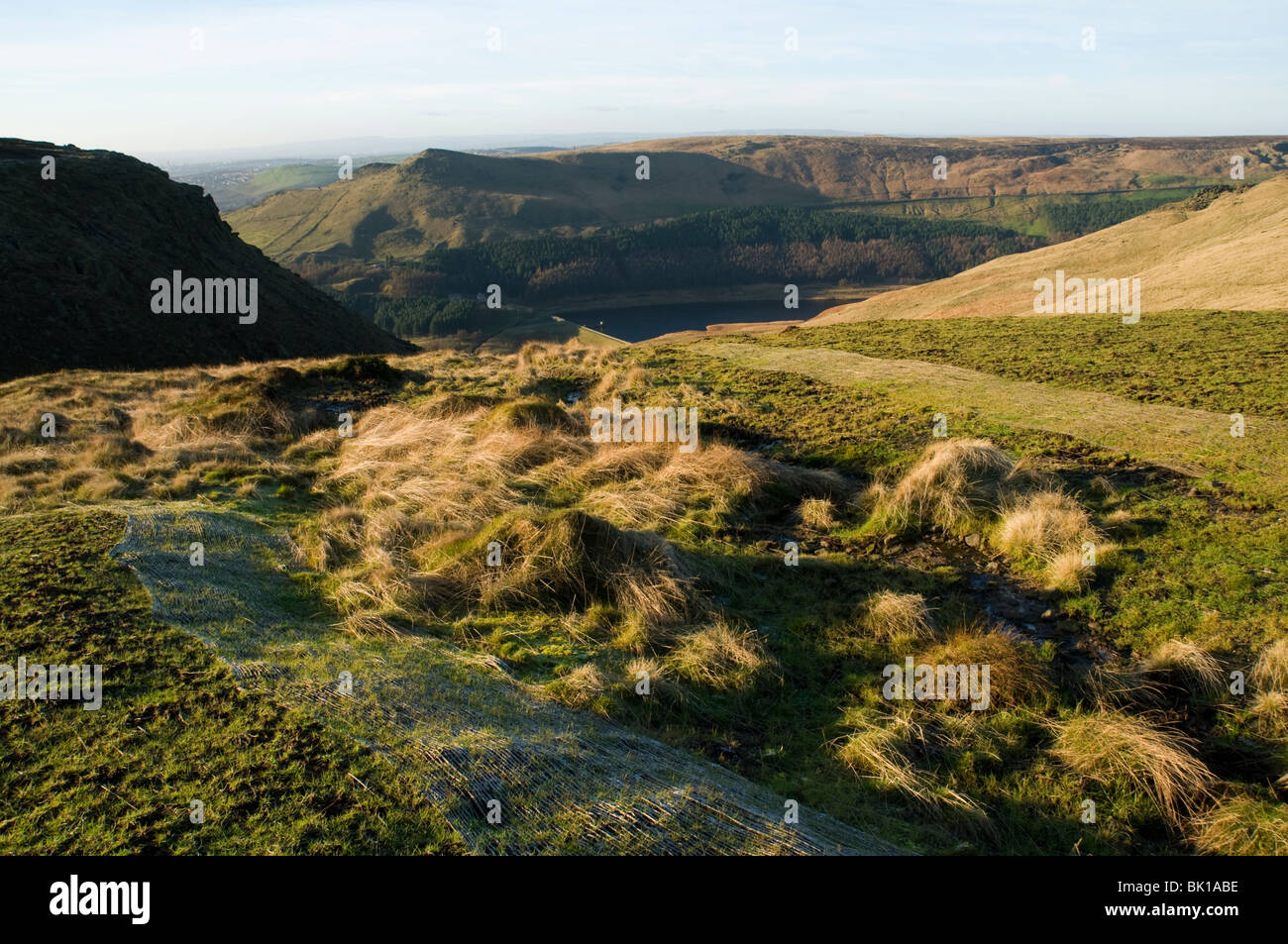 Schützende Mattierung platziert zum Schutz einer nachgesäten Gegend von Torfmoos, Saddleworth, Oldham Bezirk, Greater Manchester, England, UK Stockfoto