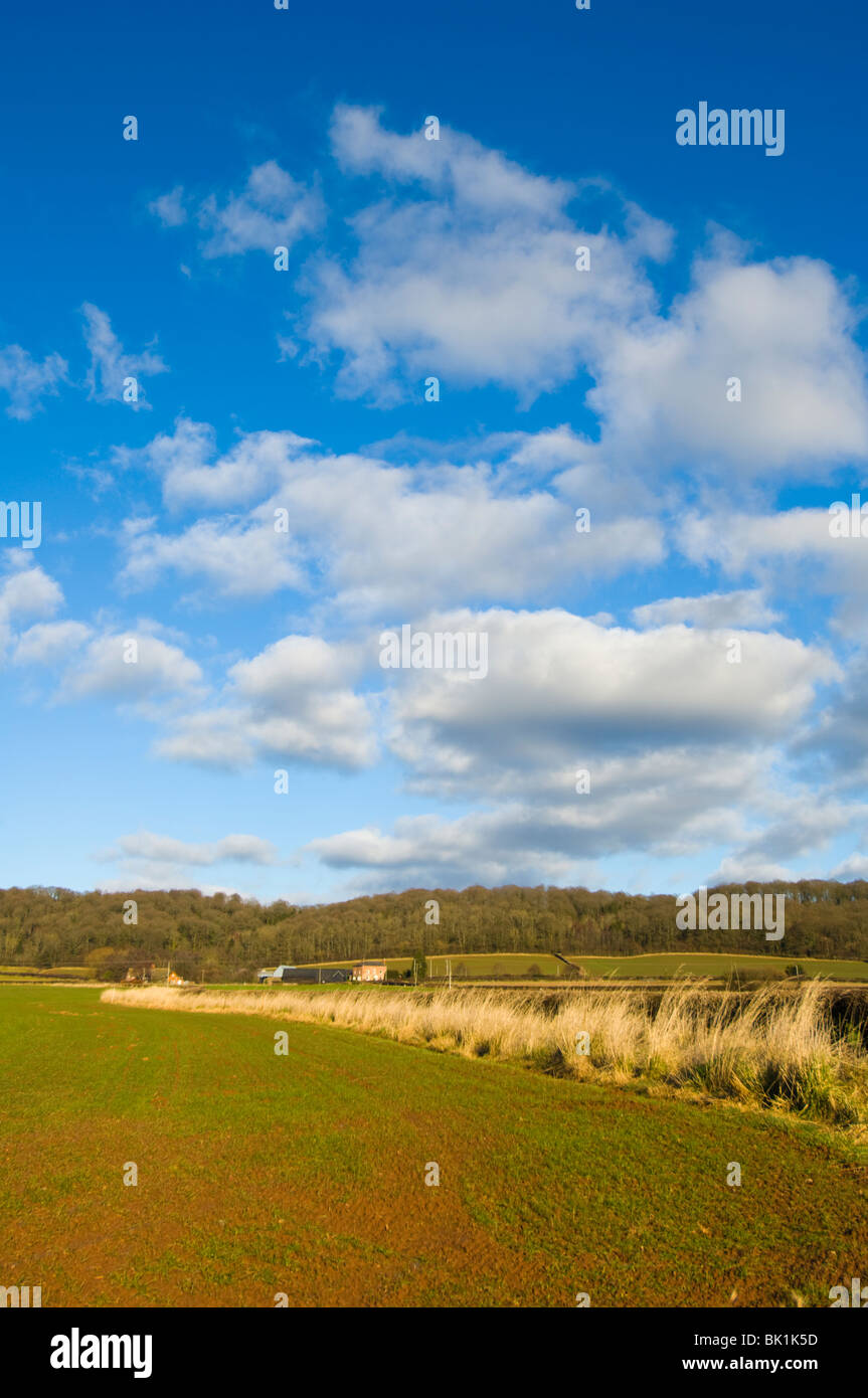 Rollende Landschaft Herefordshire UK Stockfoto