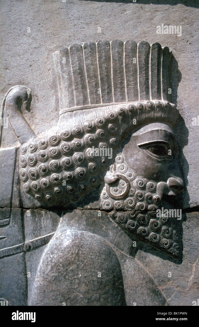 Relief von einem persischen Mann, der Apadana, Persepolis, Iran Stockfoto