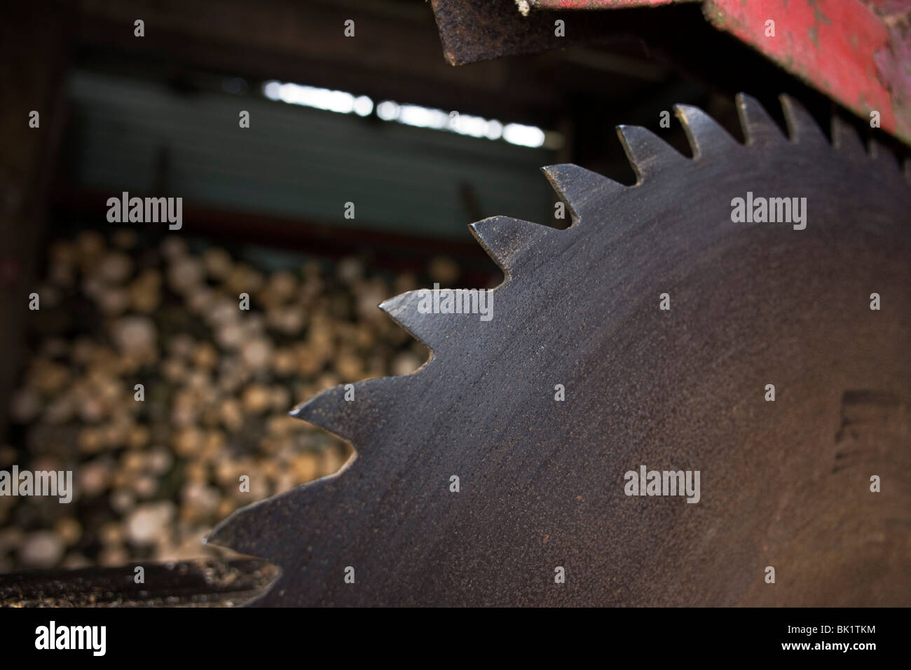 Detail der Klinge, Zähne und Top Schutzeinrichtung ein Kleinbetrieb Inland Kreissäge mit Schnitt protokolliert im Hintergrund... Stockfoto