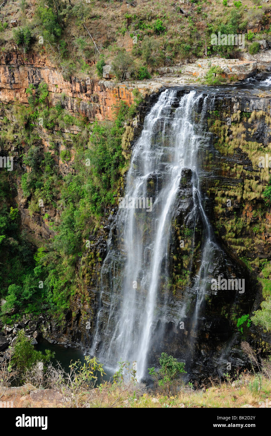 Lisbon Falls in der Nähe von Graskop in Provinz Mpumalanga, Südafrika Stockfoto