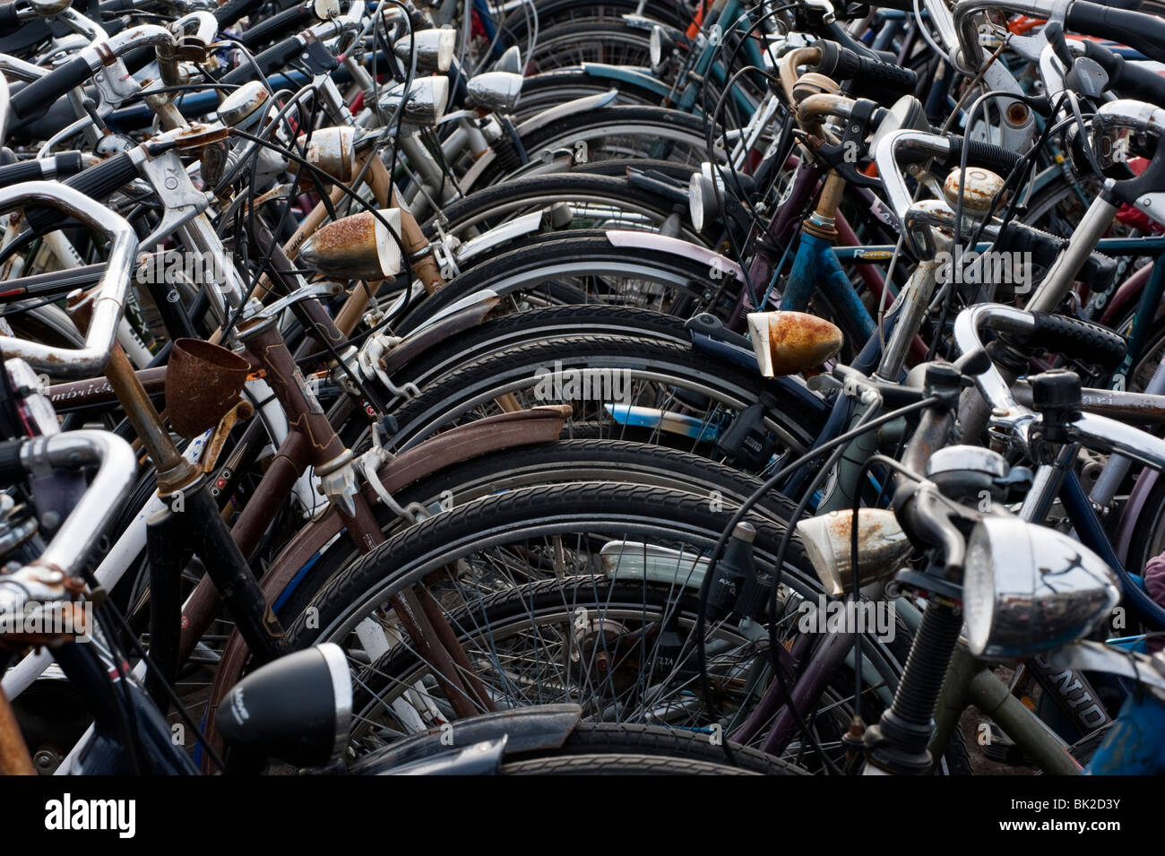 Viele Fahrräder parken in öffentlichen Parks in den Niederlanden Stockfoto