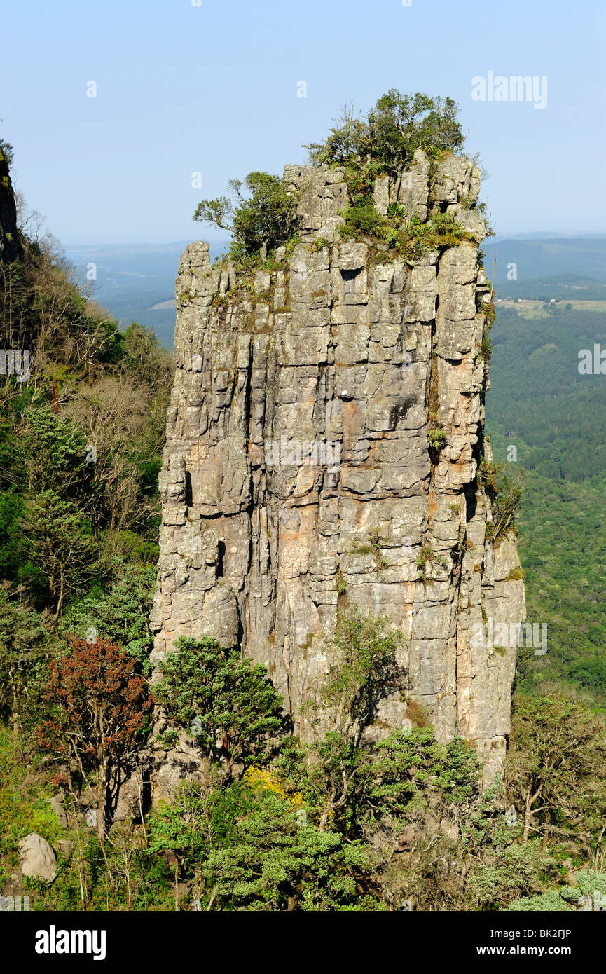 Die freistehende Quarzit Stütze des Pinnacle Rock in der Nähe von Graskop in Provinz Mpumalanga, Südafrika Stockfoto