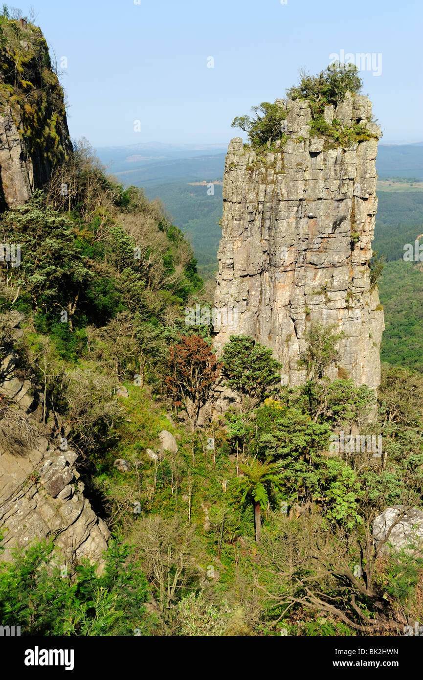 Die freistehende Quarzit Stütze des Pinnacle Rock in der Nähe von Graskop in Provinz Mpumalanga, Südafrika Stockfoto
