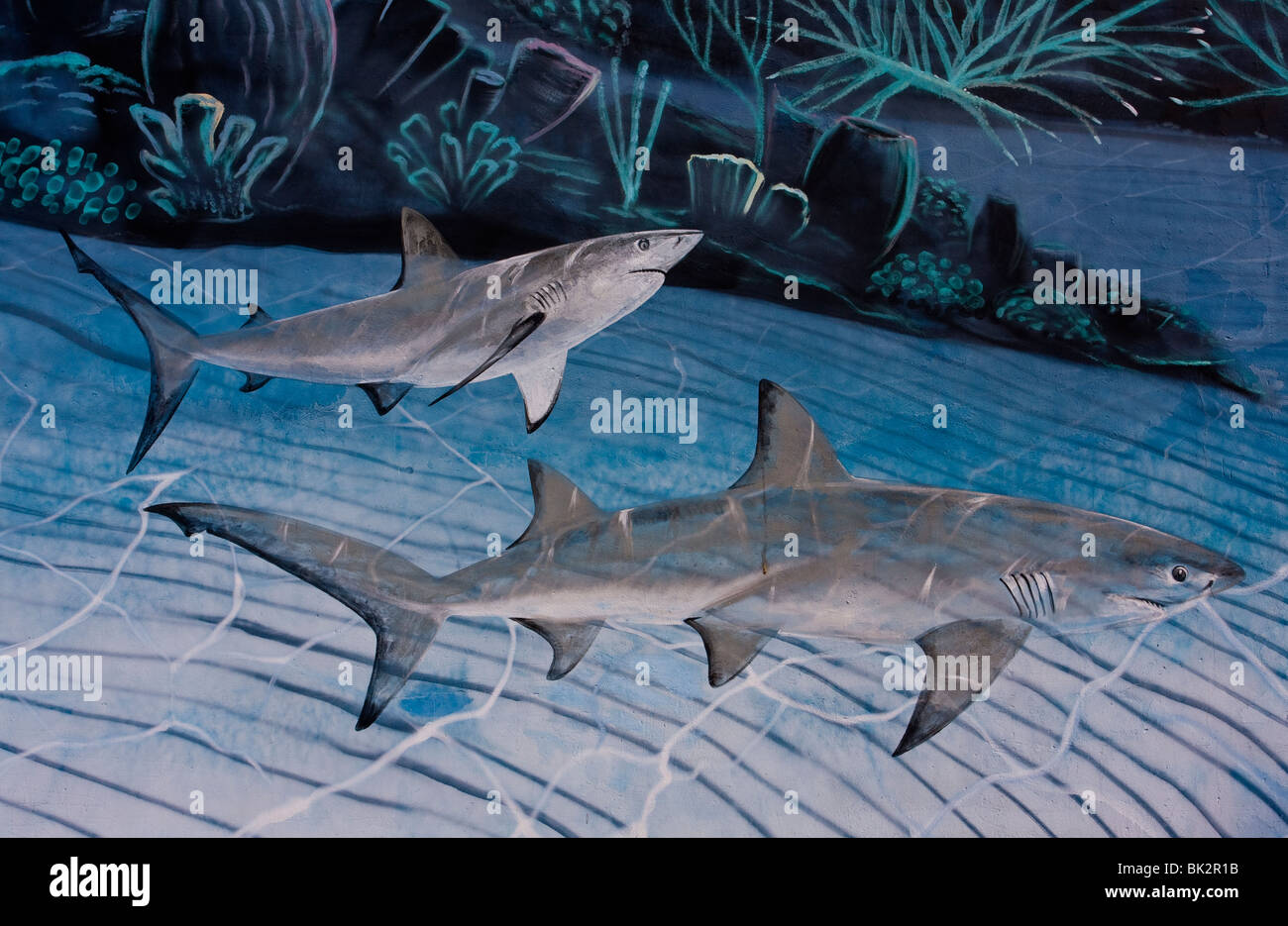 Ein Wandbild Meeresbewohner gemalt auf einer Gebäudewand in Key West, Miami, Florida, USA. Stockfoto