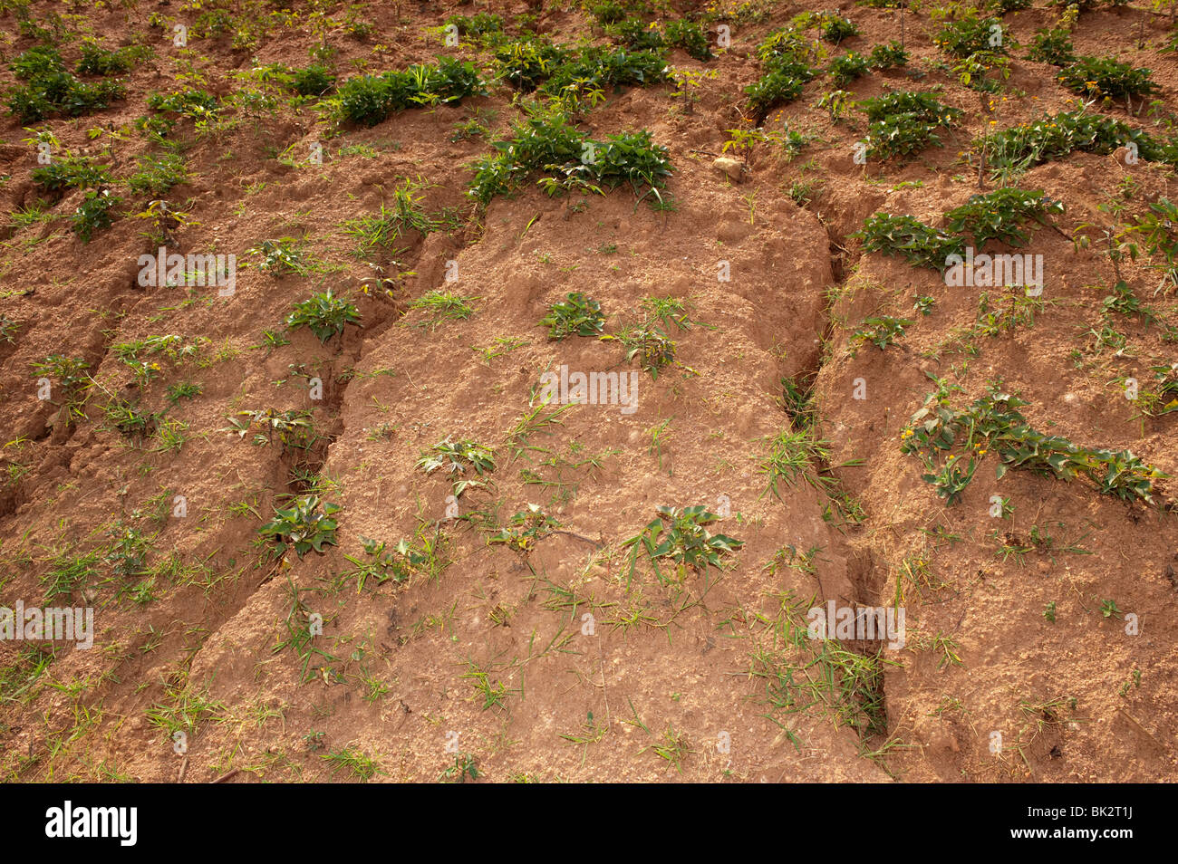 Hillside Anzeichen Von Bodenerosion Durch Wasser Ablaufen Ruanda Stockfotografie Alamy