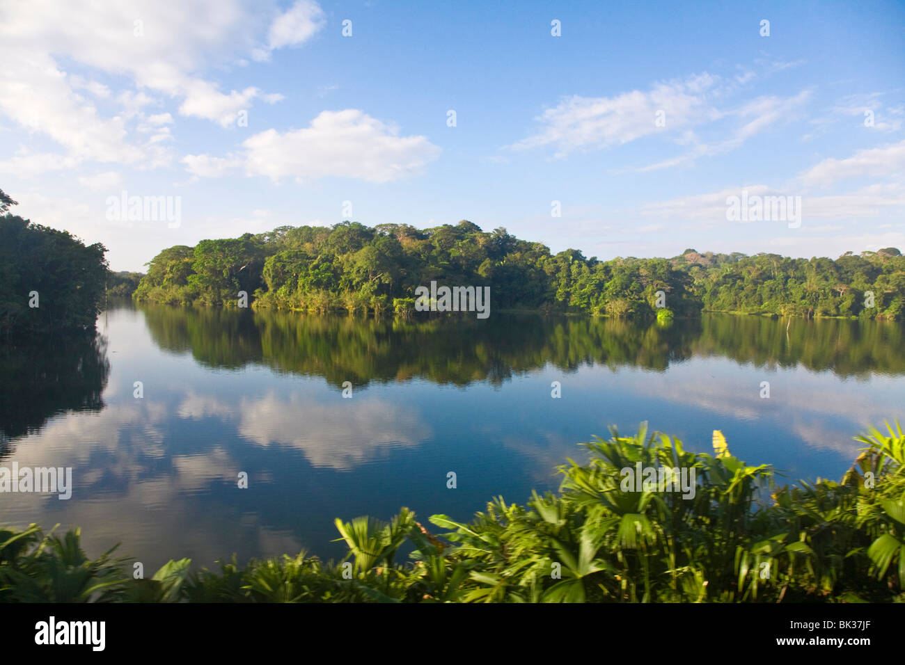 Gatun See, Panamakanal, Panama, Mittelamerika Stockfoto