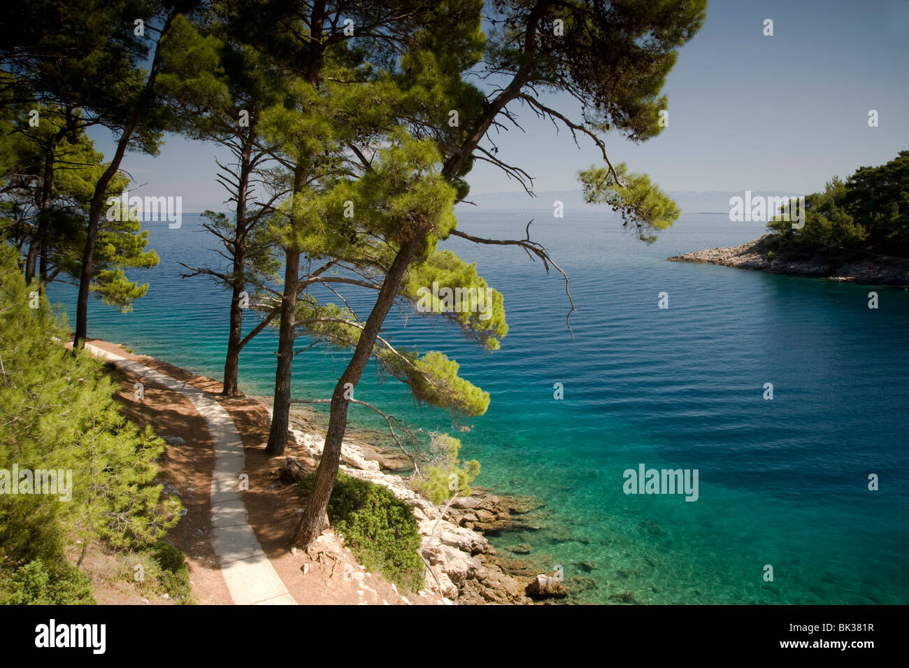 Eine kleine Bucht, umgeben von Pinien in der Nähe von Veli Losinj auf der Insel Losinj, Kvarner Region, Kroatien, Europa Stockfoto