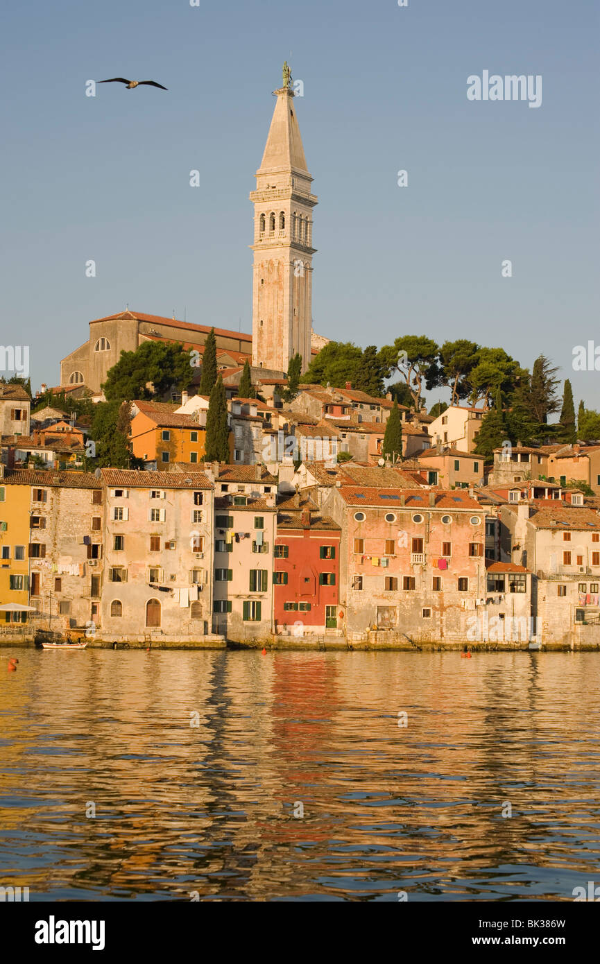 Die Kathedrale der Heiligen Euphemia und die alten venezianischen Stil Gebäude von Rovinj spiegelt sich im Meer bei Sonnenaufgang, Istrien, Kroatien Stockfoto