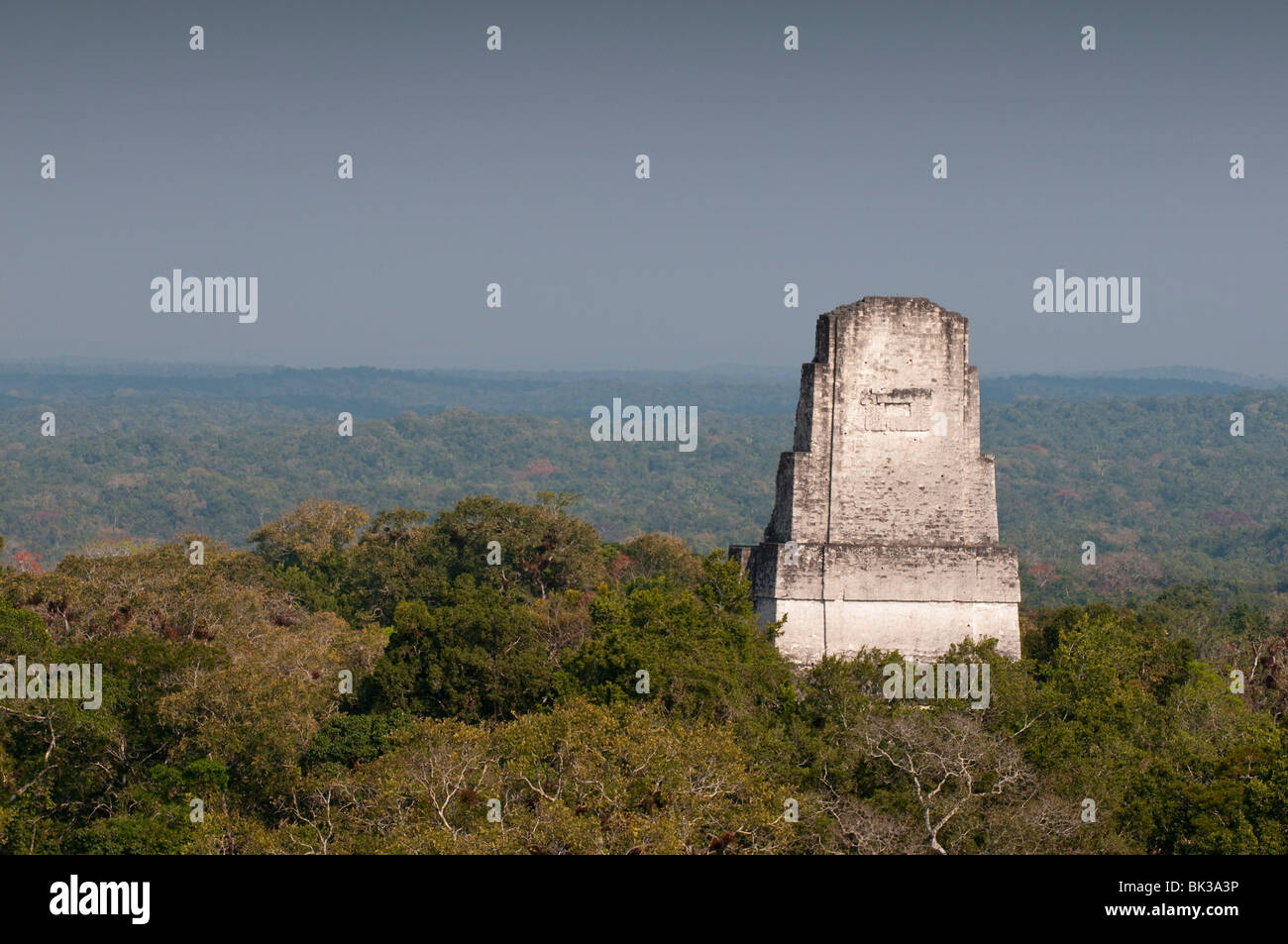 Tempel III, Maya-Ausgrabungsstätte, Tikal, UNESCO-Weltkulturerbe, Guatemala, Mittelamerika Stockfoto