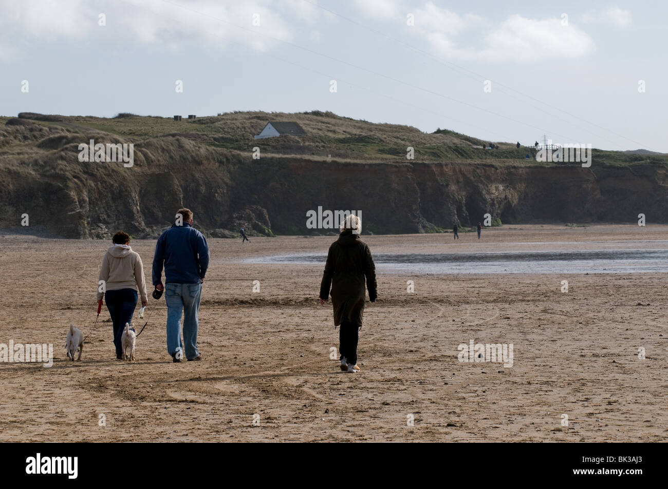 Menschen zu Fuß ihre Hunde auf Gwithian Towans Strand in Cornwall. Stockfoto