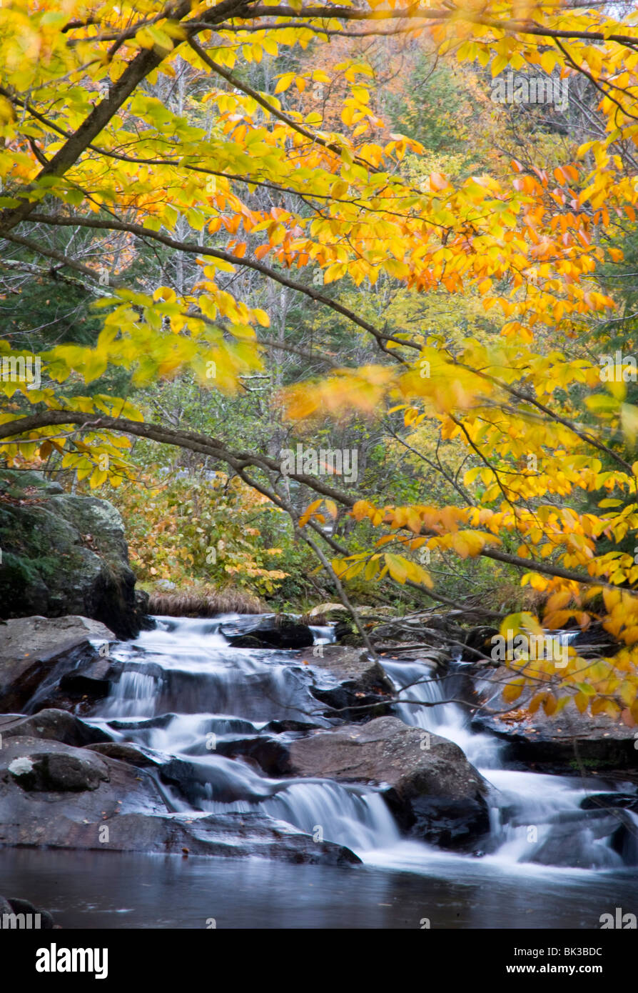 Buntes Herbstlaub über herabstürzende Wasser in Mad River in der Nähe von Granville, Vermont, New England, USA Stockfoto