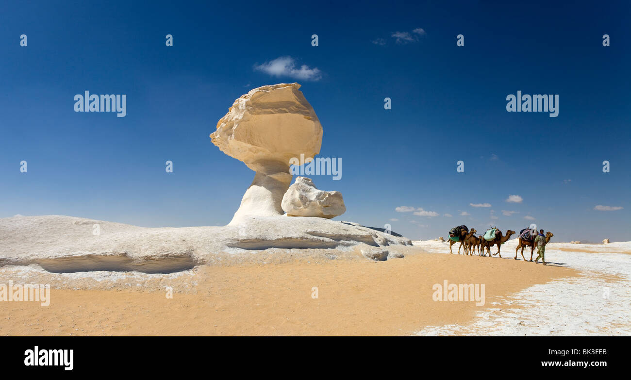 Kamele in der Nähe der skulpturalen Felsen Formen vor einem blauen Himmel wandern. Die Weiße Wüste in der Nähe von Farafra Oase, Ägypten. Stockfoto