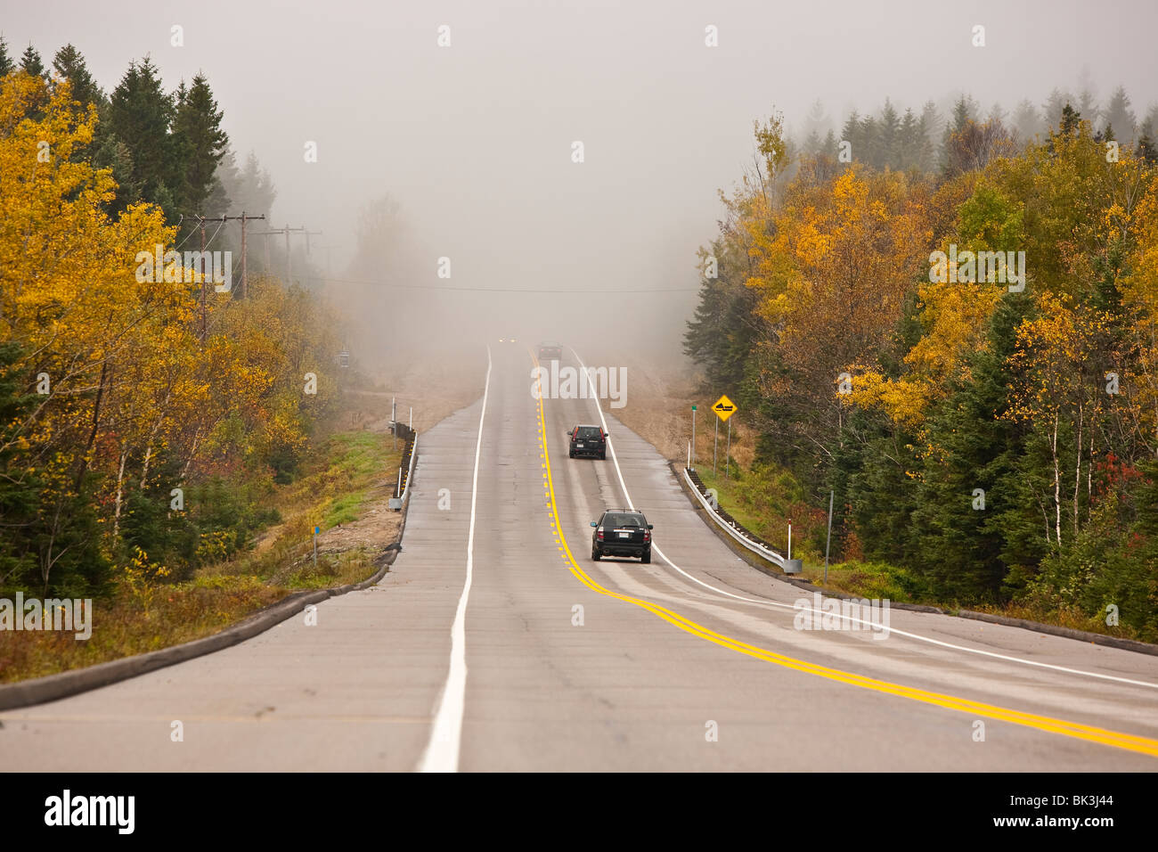 Straße geschnitten durch eine Wand von Nebel im Herbst. Stockfoto