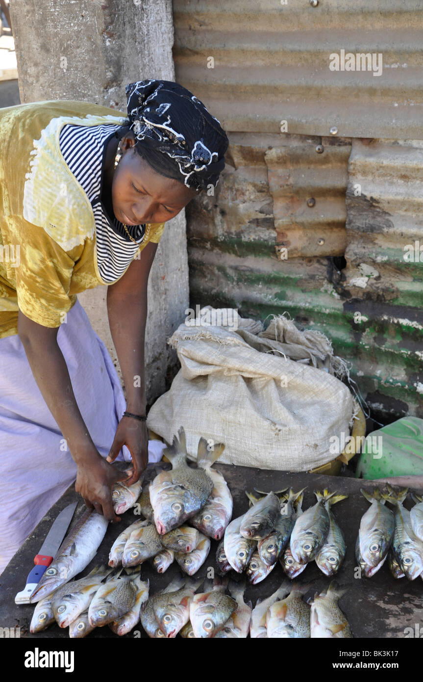Gambia. Frau Verkauf von Fisch. Stockfoto