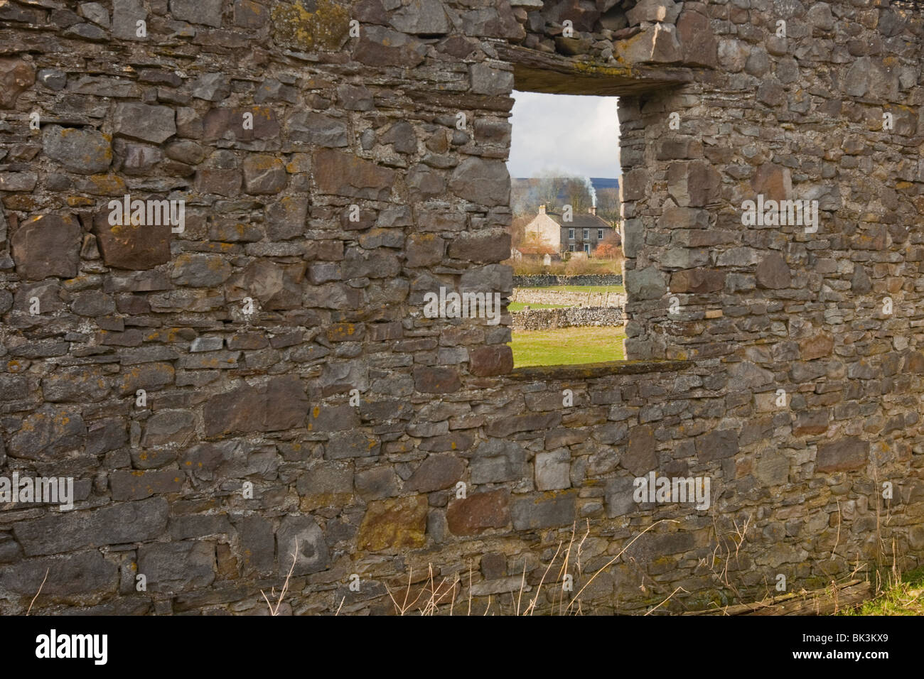 Trockenmauern, Wensleydale, Yorkshire Dales, Yorkshire, England. Stockfoto