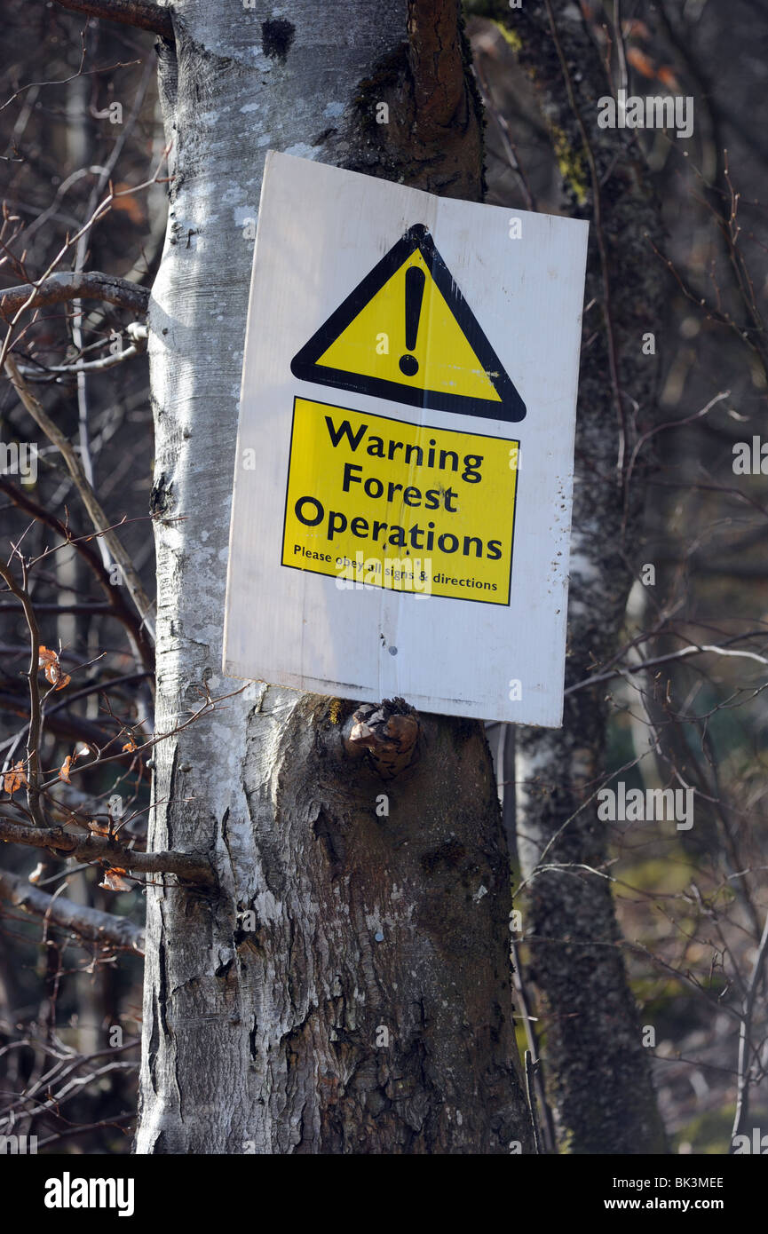 FORSTLICHE VERFAHRENSTECHNIK WARNZEICHEN IN EINEM WALD-LOGGING-VORGANG IN WALES, UK Stockfoto