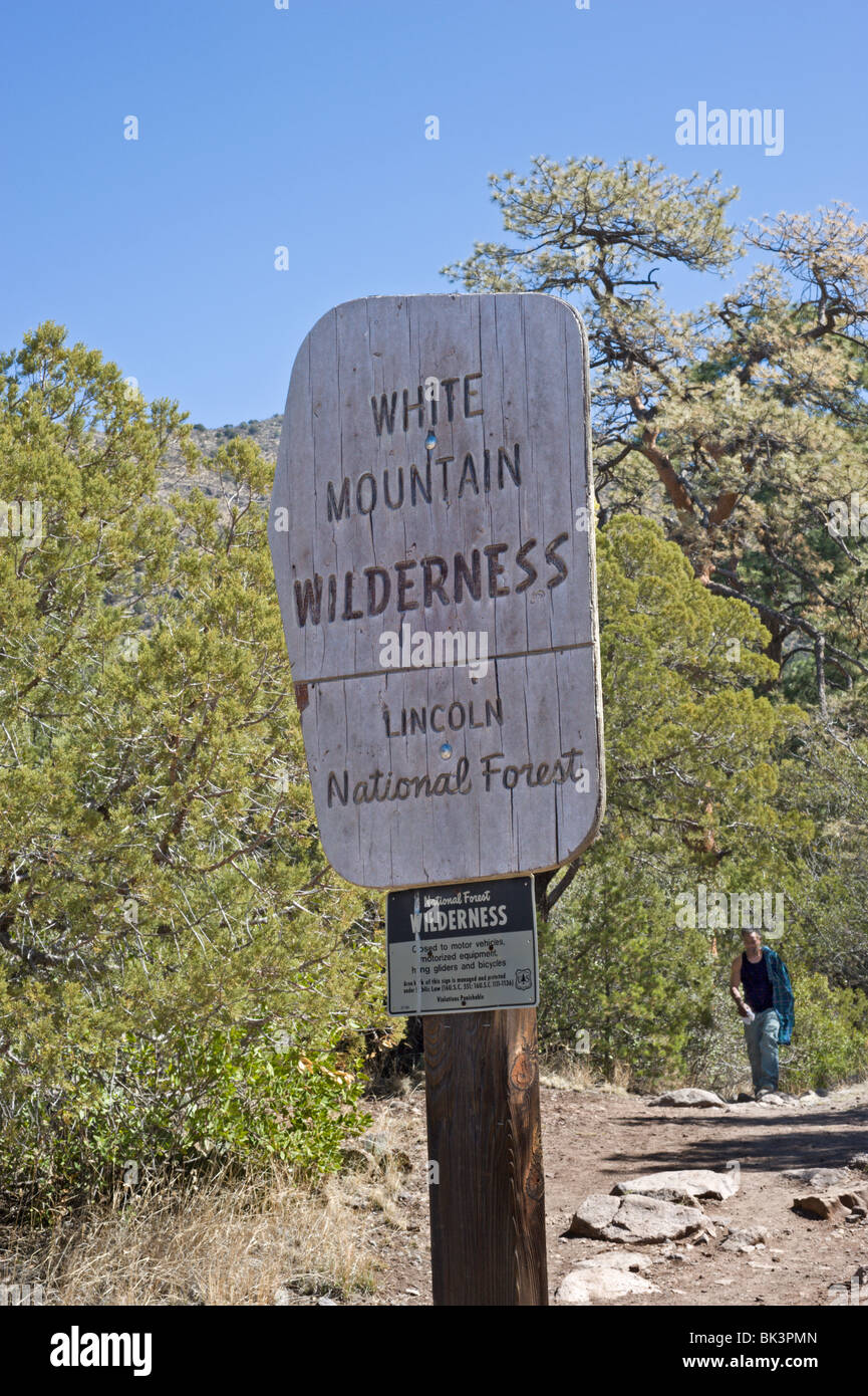 Ein einsamer Wanderer auf den Spuren in den White Mountain Wilderness und Lincoln National Forest, New Mexico. Stockfoto