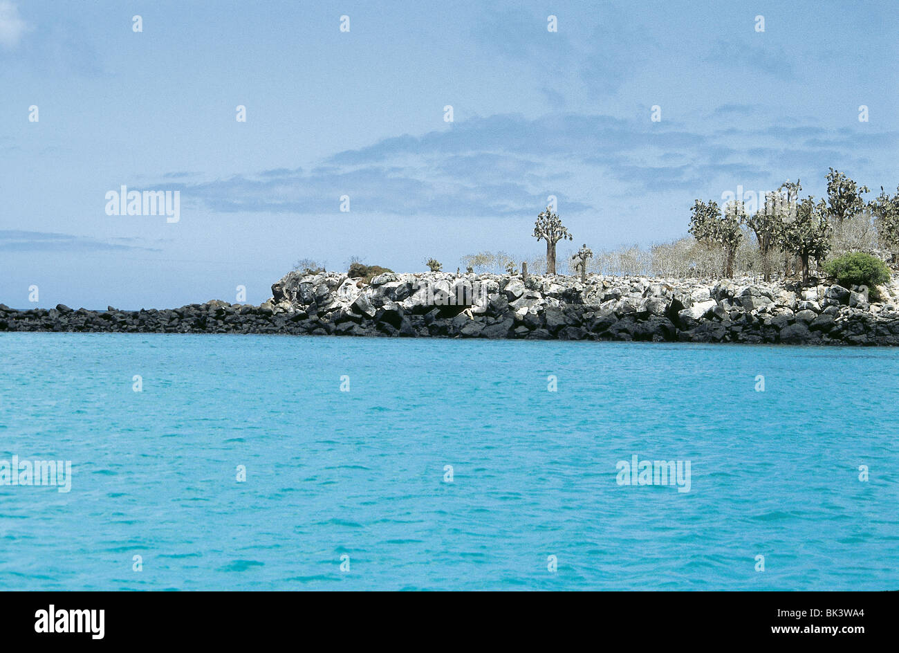 Ruhige Küstenlinie auf den Galapagos Inseln mit opuntia Kakteen und makellosem aquablauem Wasser in Ecuador, Südamerika Stockfoto