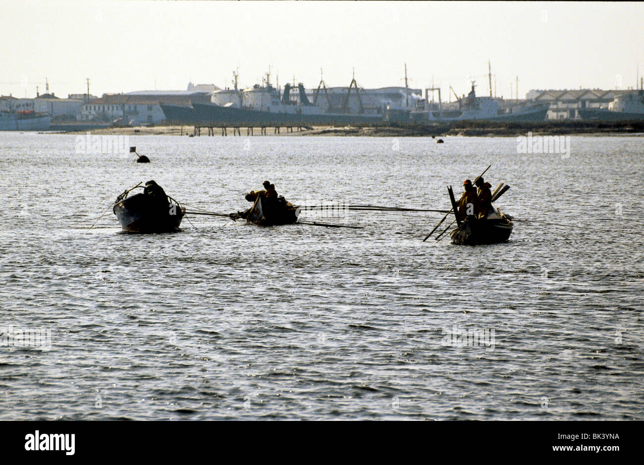 Drei portugiesische kommerziellen Fischerboote Rechen das Meeresufer Bett für Schalentiere, Portugal Stockfoto