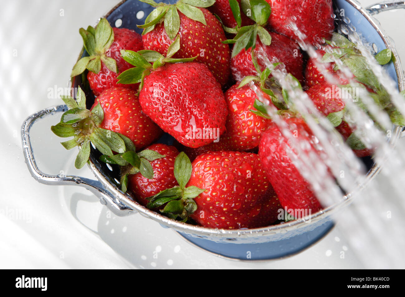 Waschen frische Erdbeeren in blau Sieb Stockfoto