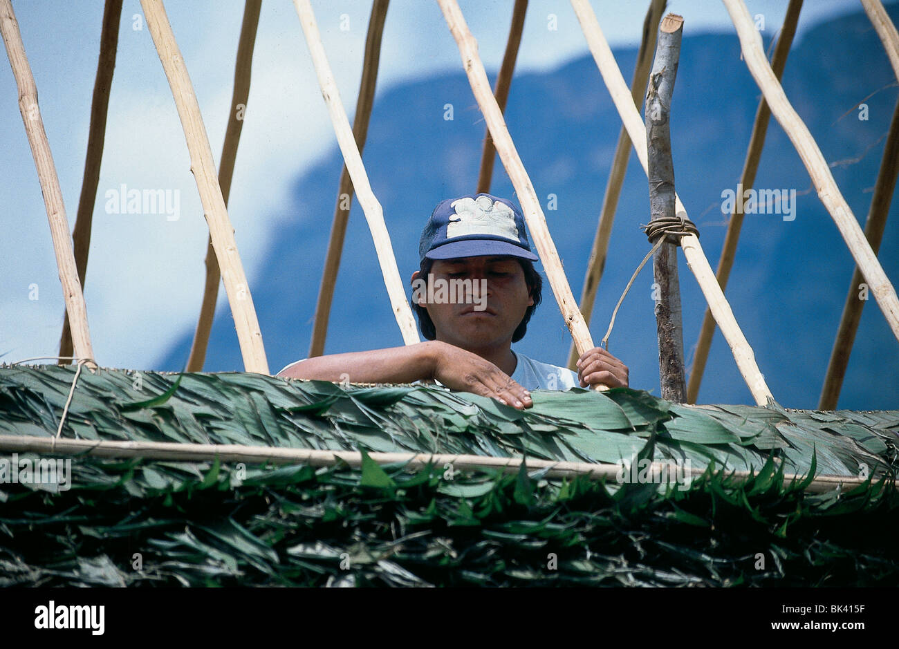 Häuslebauer Konstruktion ein Strohdach, Venezuela Stockfoto