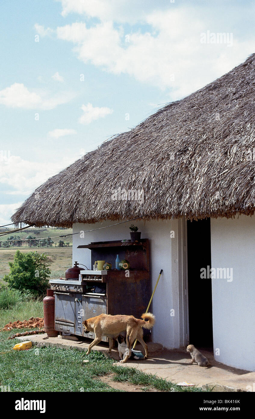 Strohdach Haus mit Hunden und Gasherd, Venezuela Stockfoto